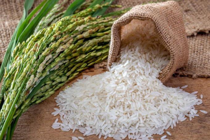 Pakistan Rice Festival 2026 promotes exports, enhances global image: Kamal