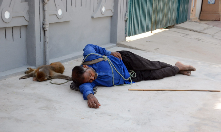 Partners In Survival, Forgotten By Society