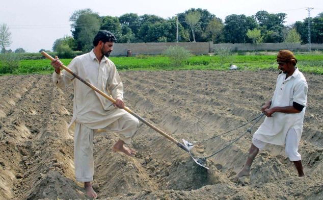 The Hands That Feed A Nation Are Barefoot
